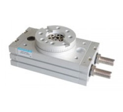 Rotary Actuator