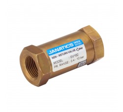 Non Return Valve