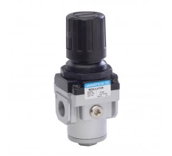 Regulator Built in NRV NPT